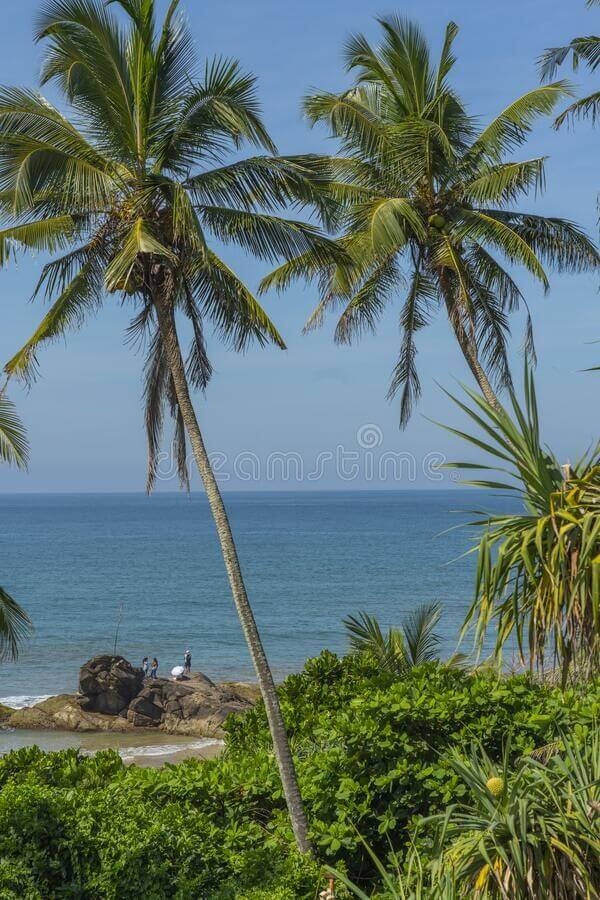 Bentota tropical landscape