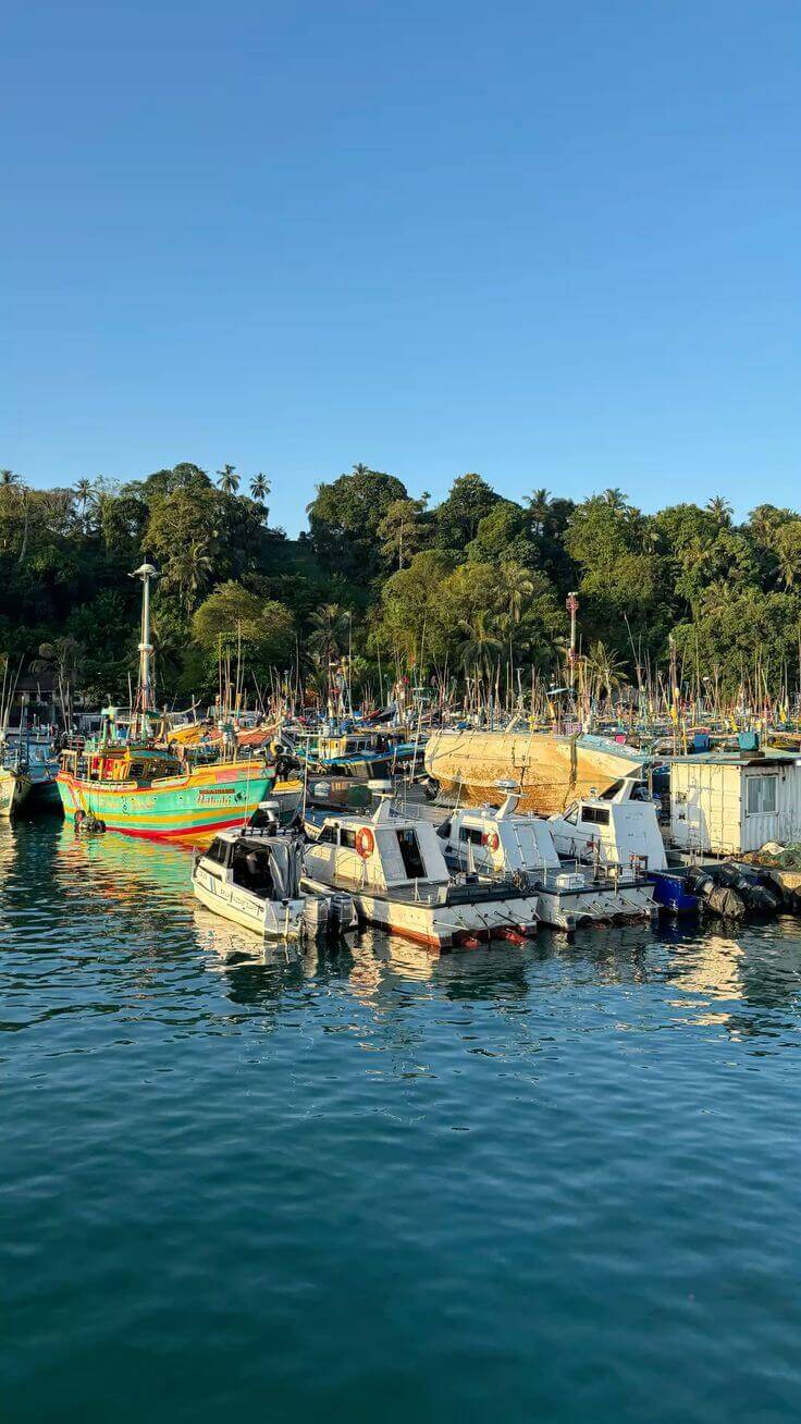 Mirissa fishing harbour