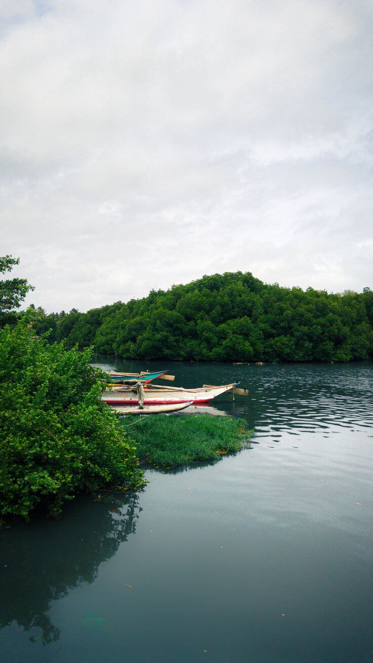 Negombo Lagoon
