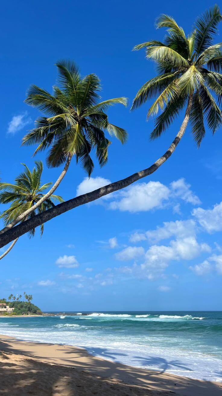 Sri Lankan tropical beach
