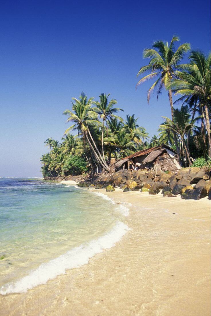 Quiet tropical coastline in Sri Lanka