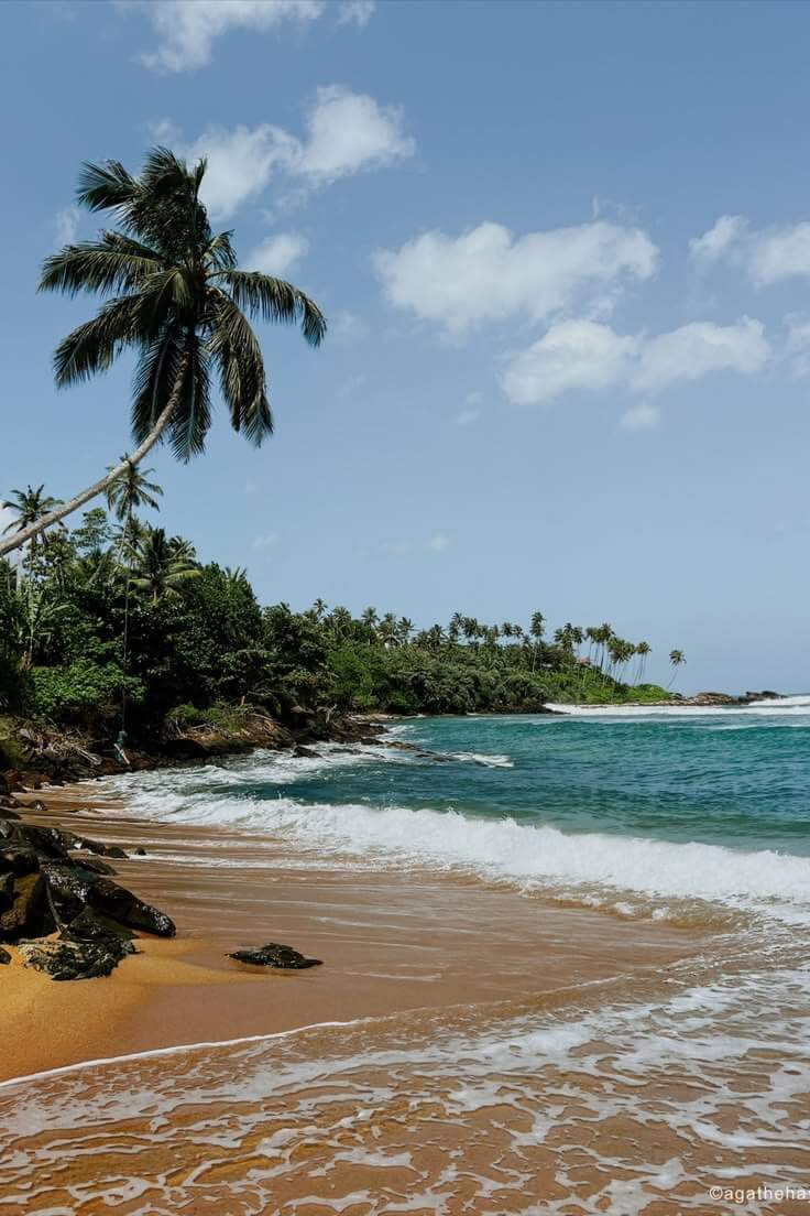 Mirissa coastline in Sri Lanka