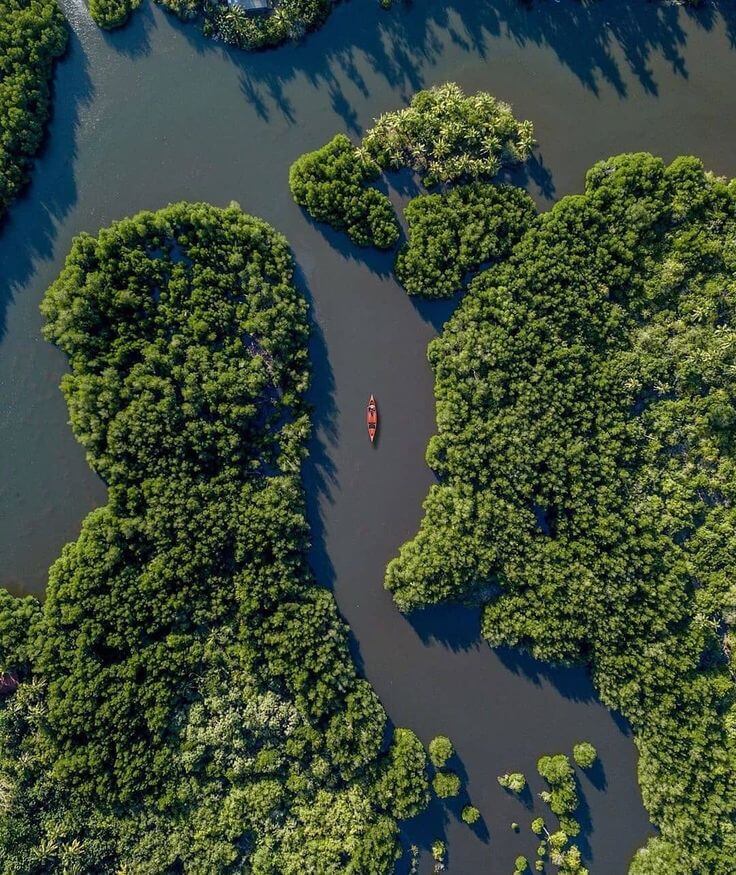 Sri Lankan lagoon landscape