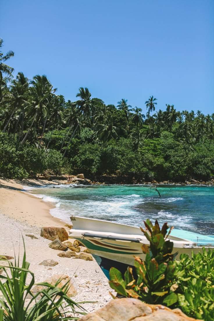 Palm-lined tropical beach in Sri Lanka