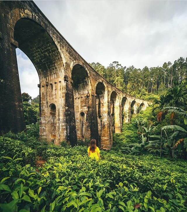 Train travelling through Sri Lankan tea country