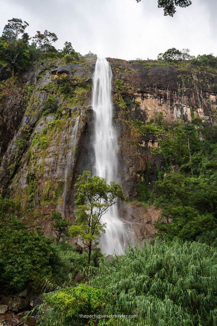 Sri Lankan tea plantations in the highlands