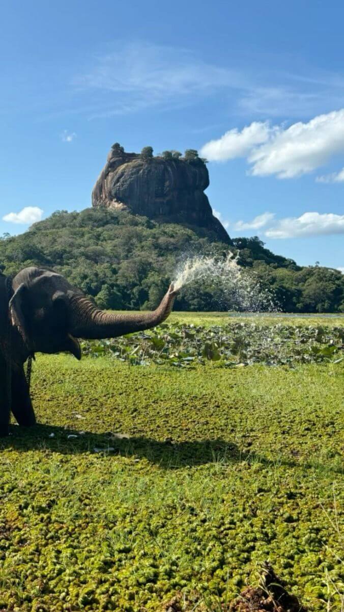 Luxury Sri Lanka landscape