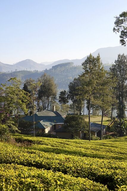 Historic tea estate bungalow in Sri Lanka