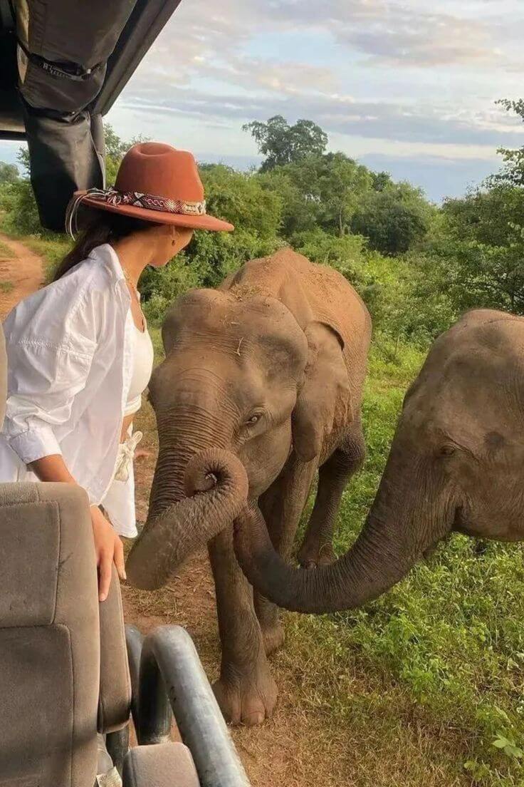 Wildlife experience in Sri Lanka