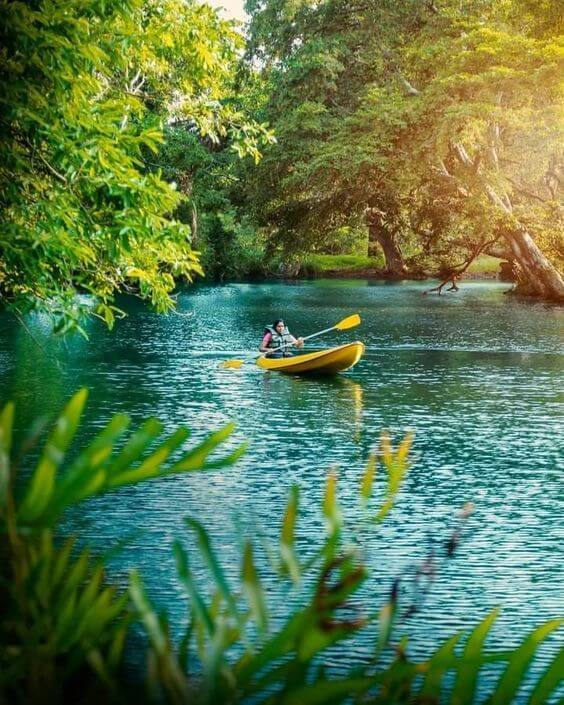 Sri Lankan national park landscape