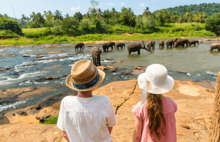 Family holiday in Sri Lanka