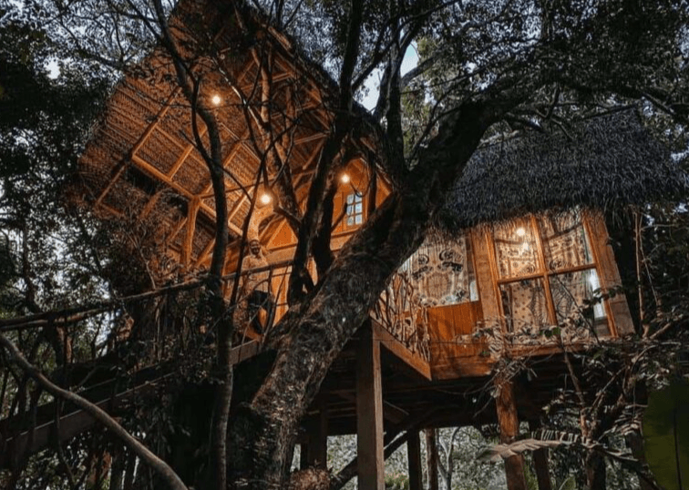 Sri Lankan treehouse stay