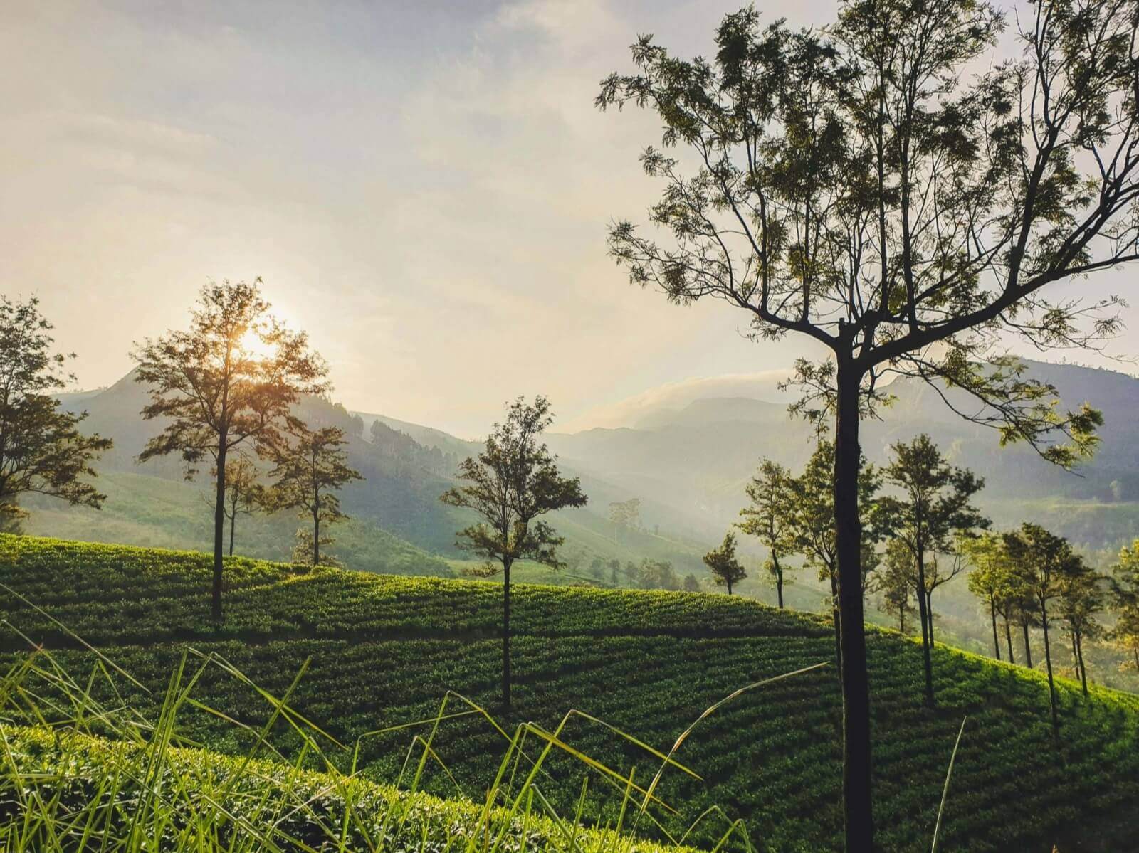 Rediscover Journeys experience in Sri Lanka