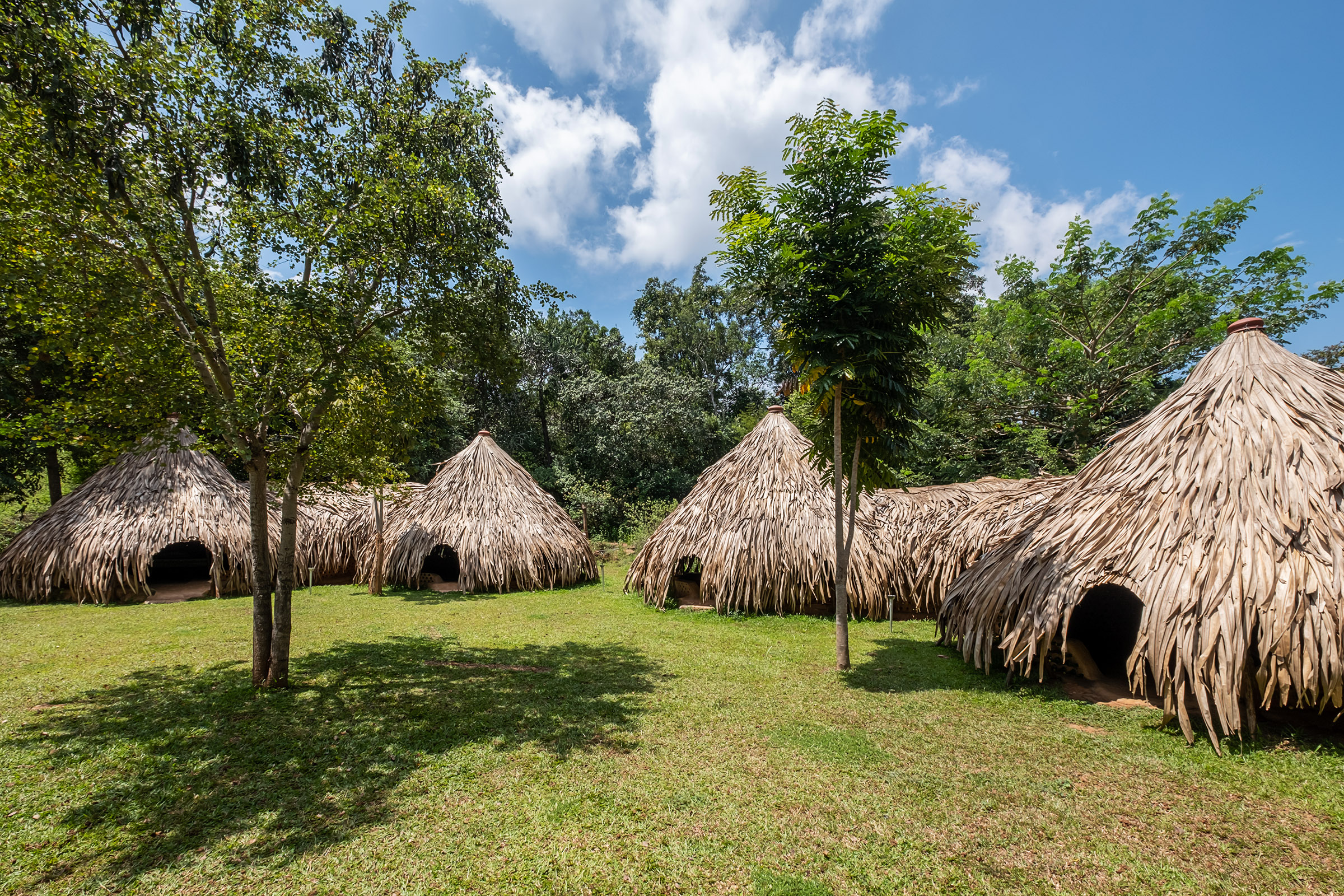 Banyan Camp