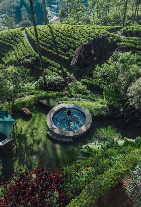 Ceylon Tea Trails