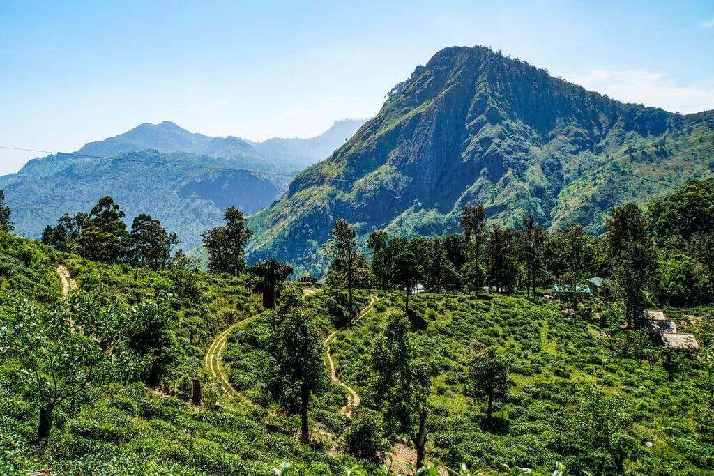 Ella mountains Sri Lanka