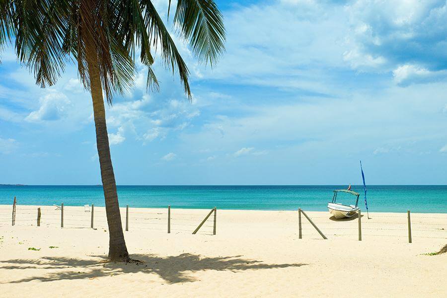 Sri Lankan eastern and tropical coast