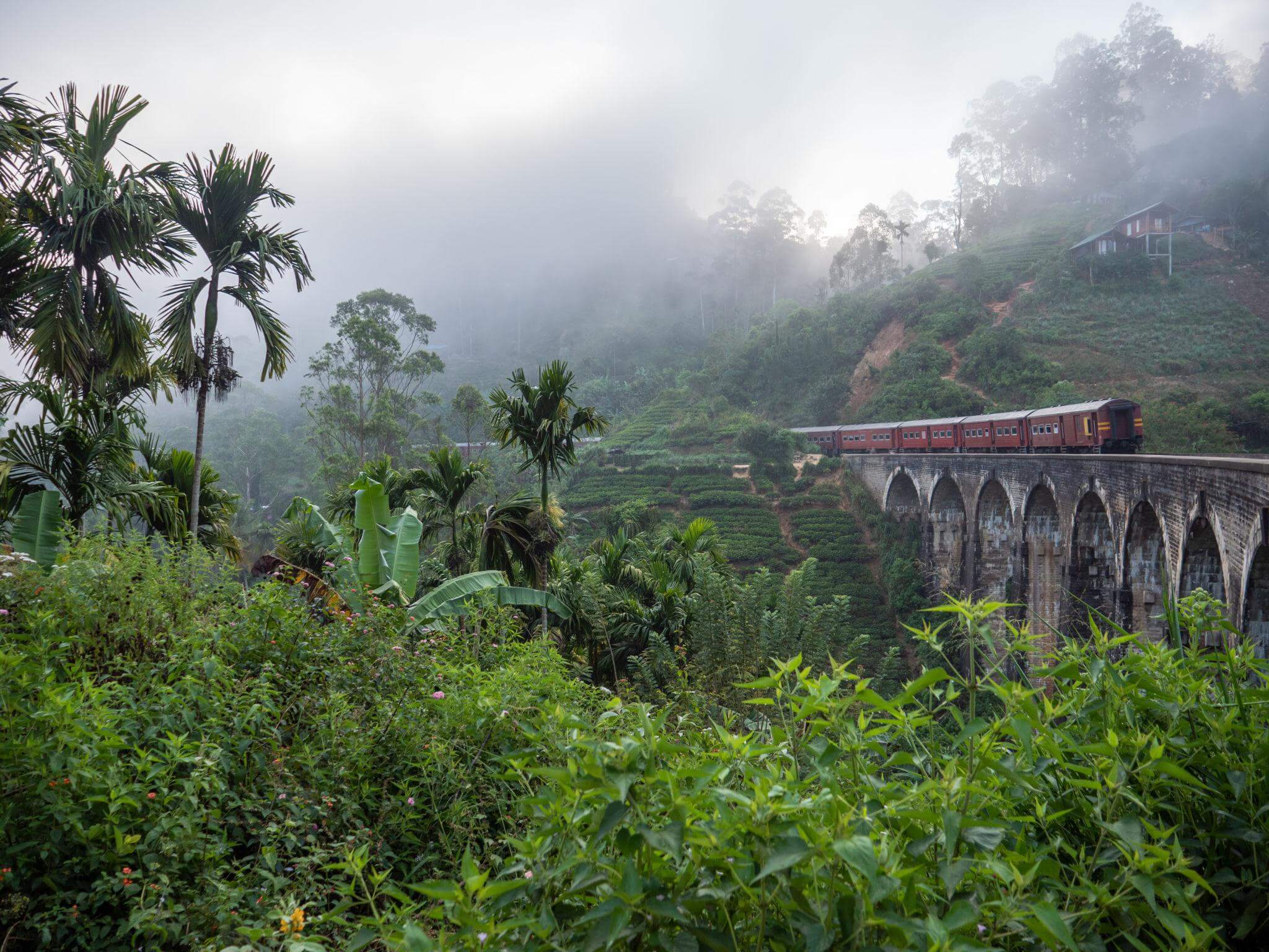 Sri Lankan landscape in June