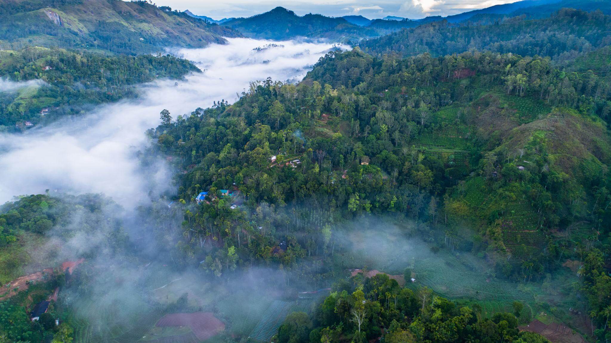 Ella mountains