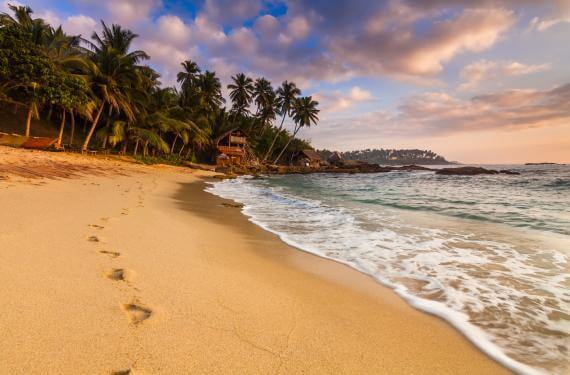 Mirissa tropical coast