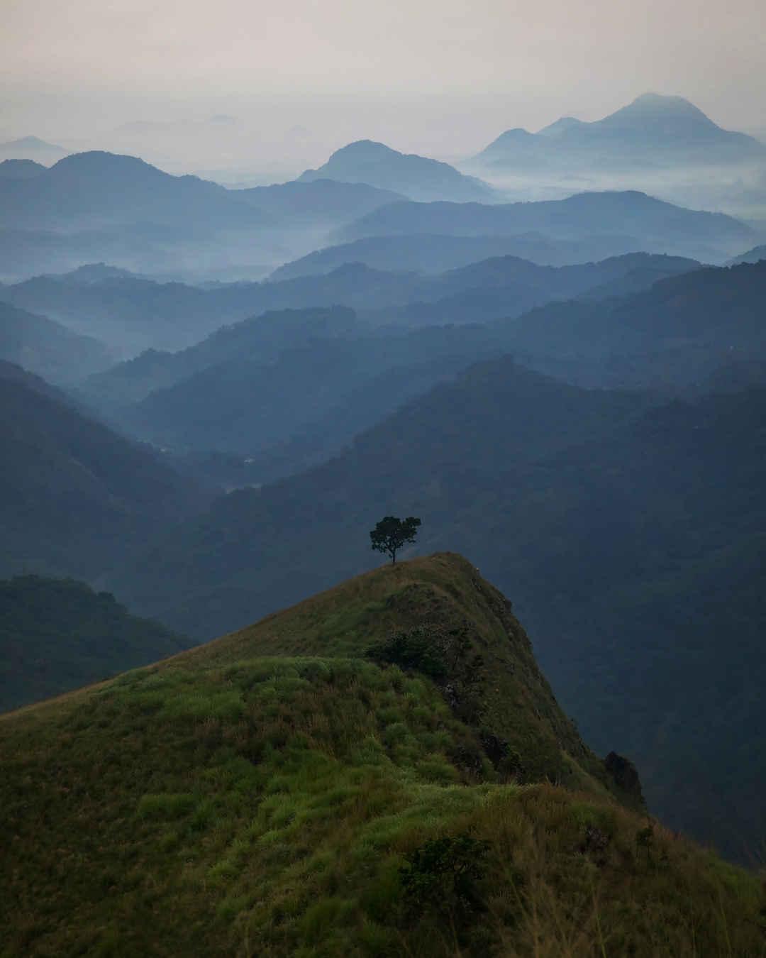 Sri Lankan highlands in September