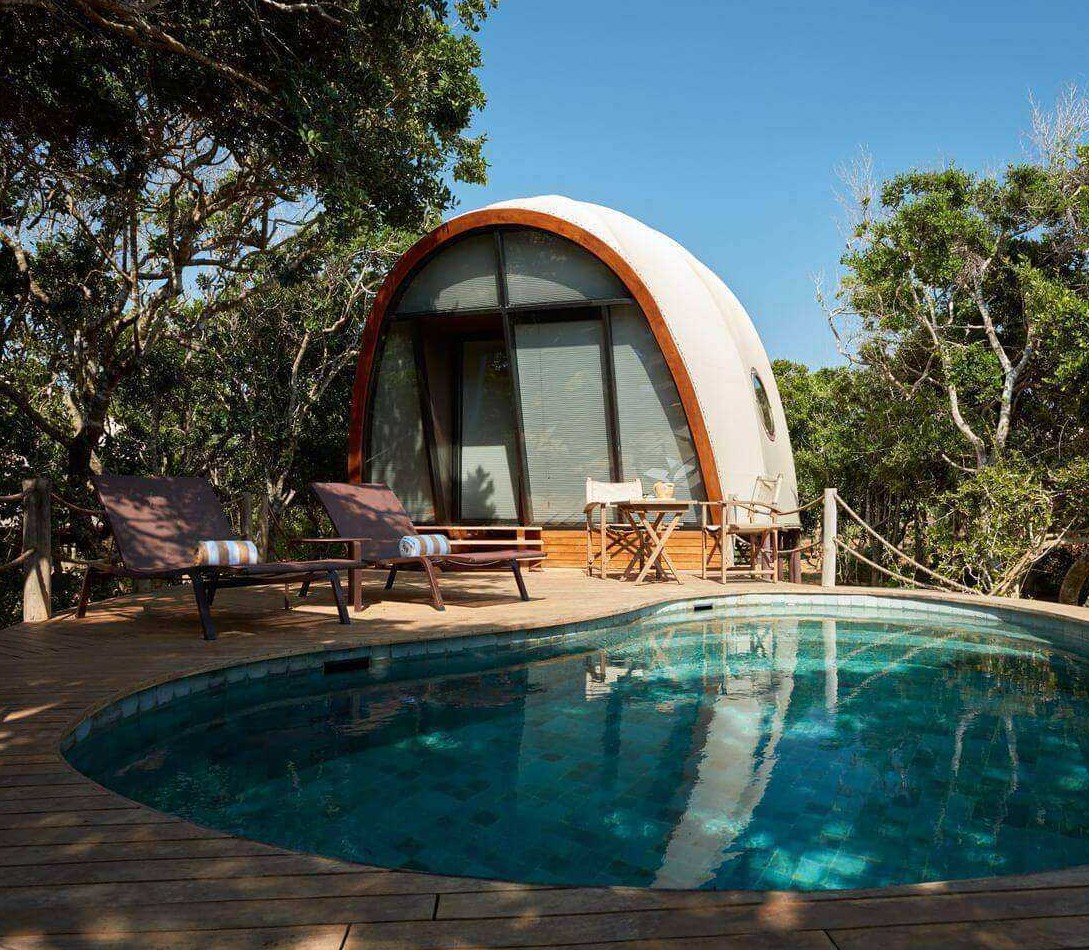 A guided wildlife experience in Sri Lanka