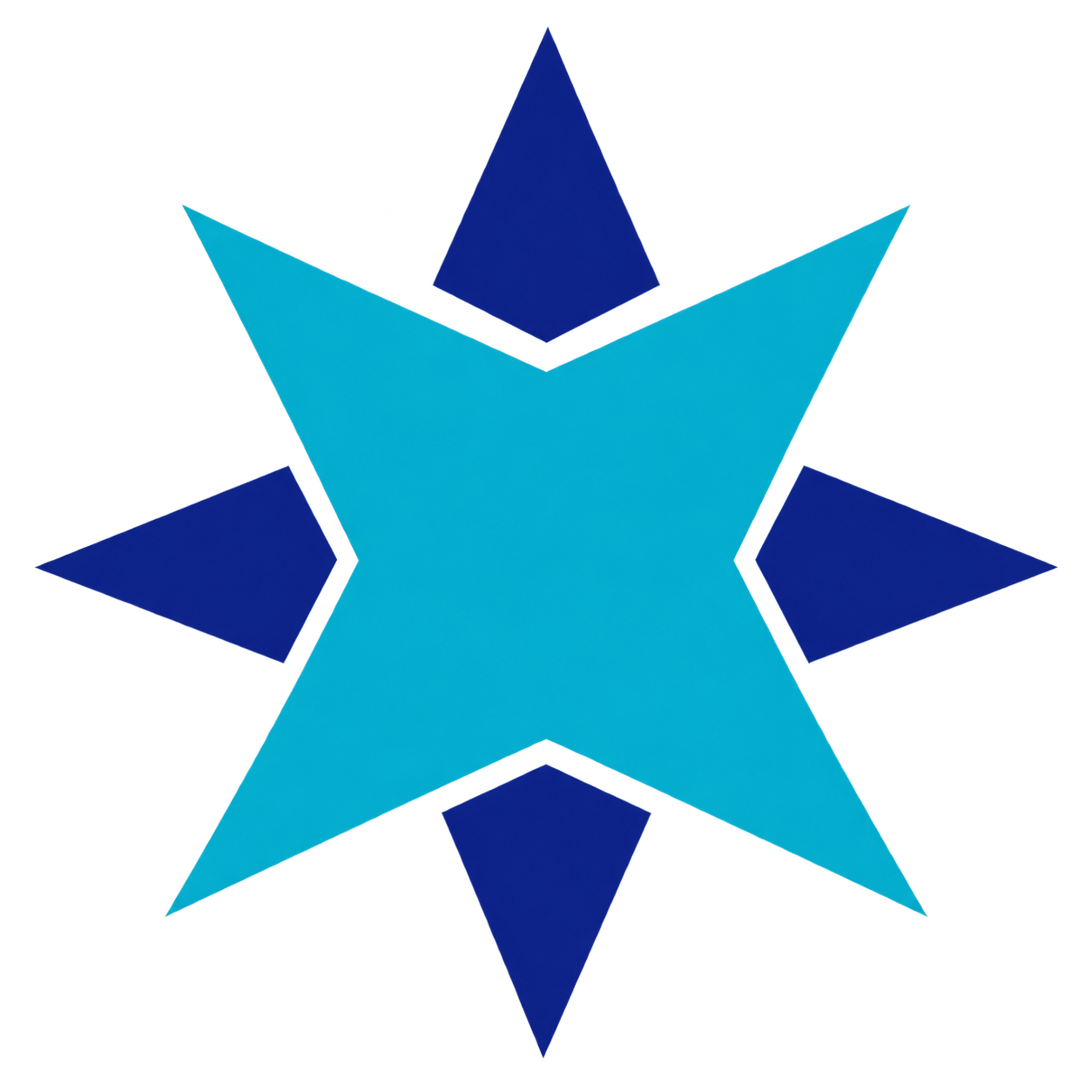 Stjernegaard Rejser logo