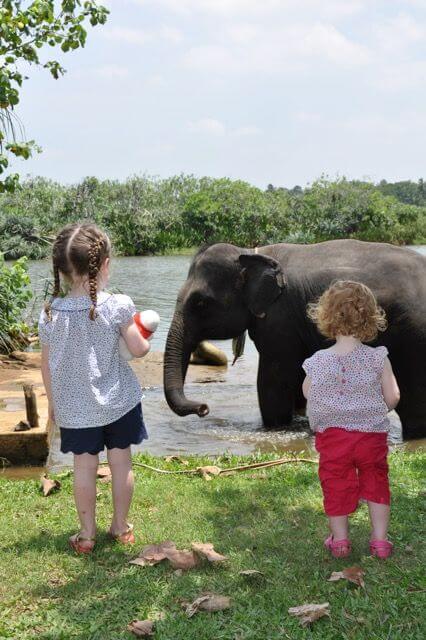 Family discovering Sri Lankan culture