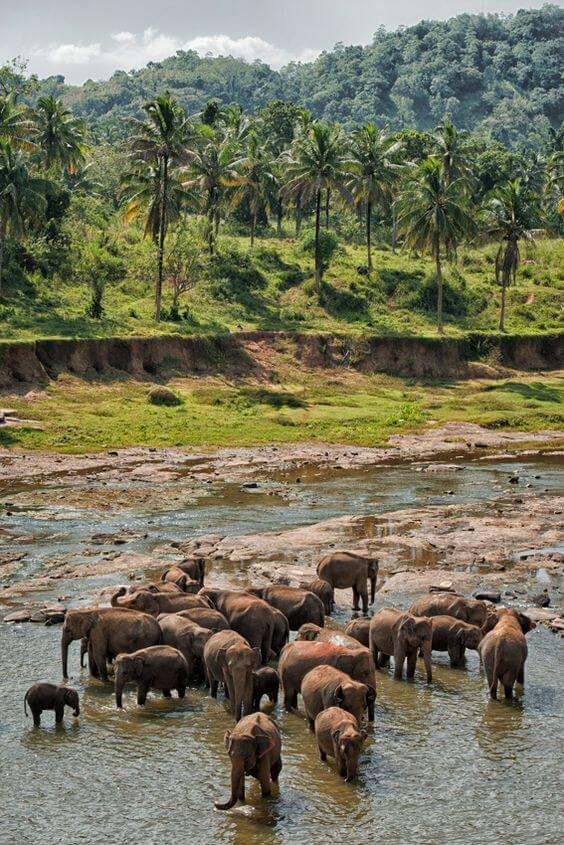 Romantic Ahangama honeymoon