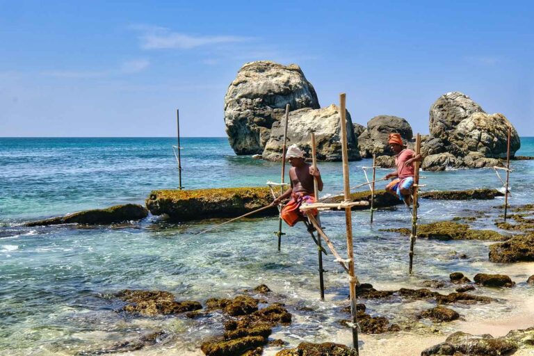 Experience Stilt Fishing in Sri Lanka | Iconic Cultural Adventure