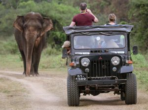Luxury Sri Lanka holiday packages with private driver