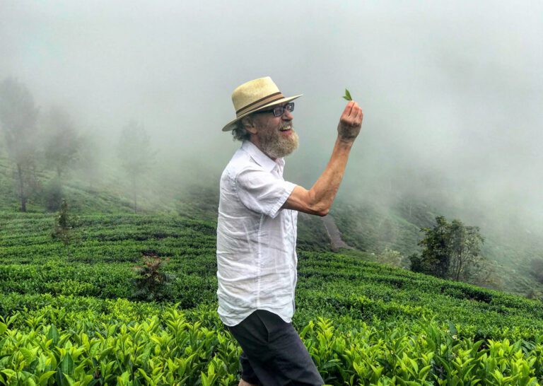 luxury tea estate sri lanka