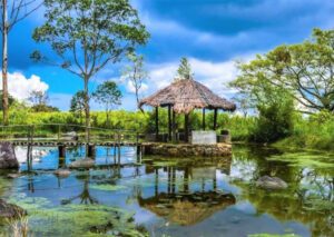 Discover the Magic of Sri Lanka: Tailor-Made Tour Packages for European Travel Agents