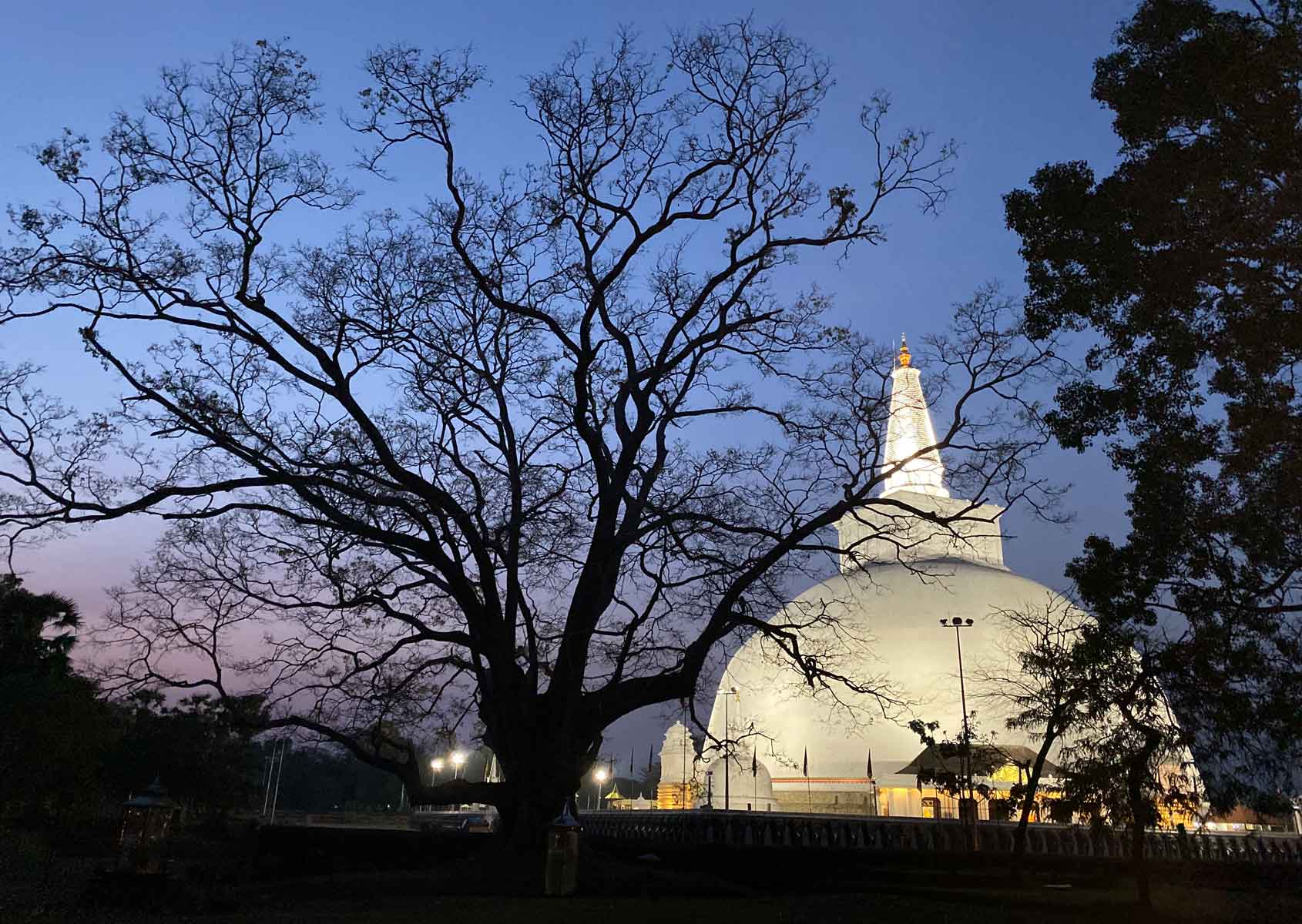 Day 2 — Day 02 | Anuradhapura | Island Spell: A Private Sri Lanka Round Journey