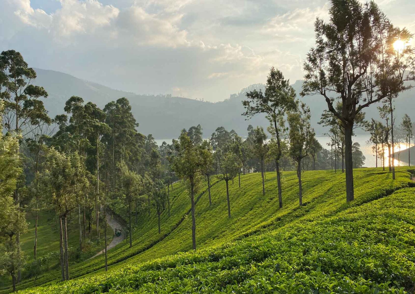 Day 9 — Day 09 | Hatton | Island Spell: A Private Sri Lanka Round Journey