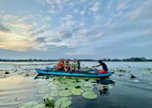 Discover Sri Lanka with the Best Tour Operators