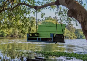 Navigating Sri Lanka with the Best Tour Operators
