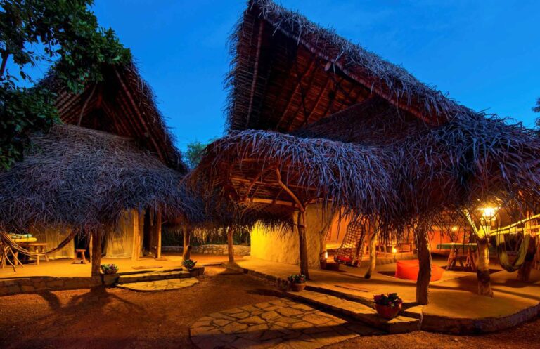 The Best Time to Visit Sri Lanka for First-Time Travelers