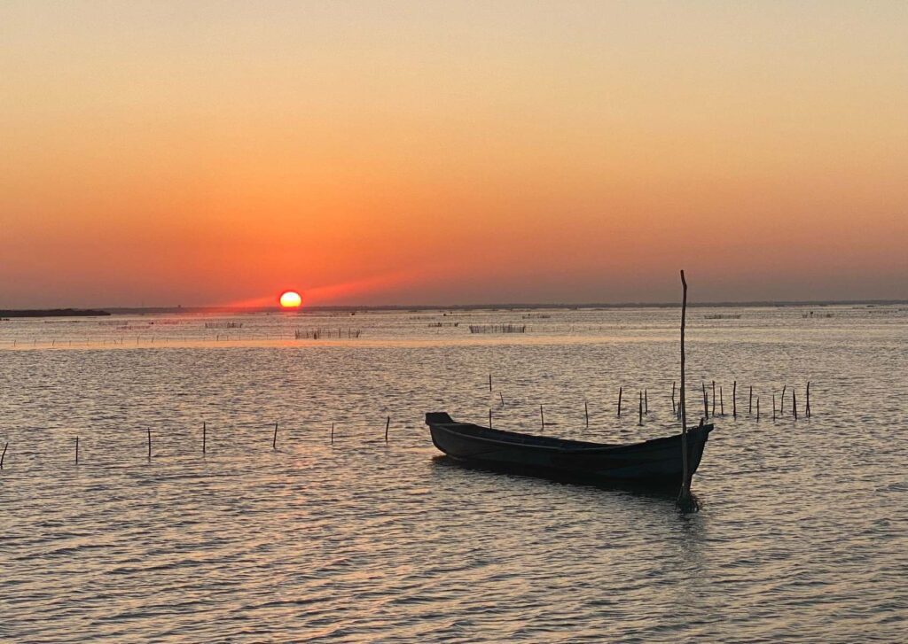 Jaffna Travel Guide 2026: Sri Lanka's Untouched Northern Capital 1 Jaffna
