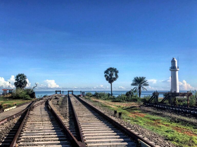 Mannar day