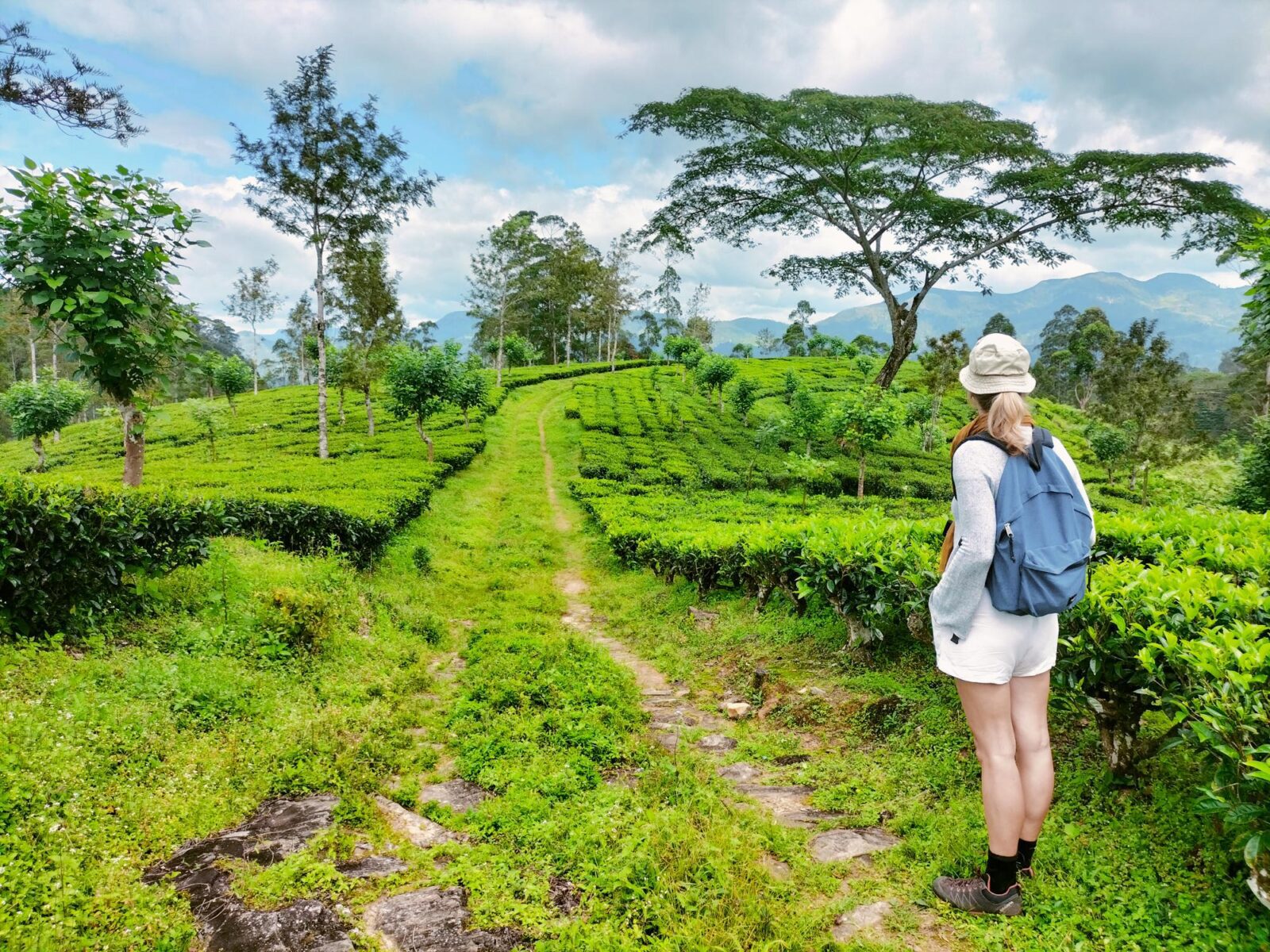 Eco-Friendly Travel in Sri Lanka