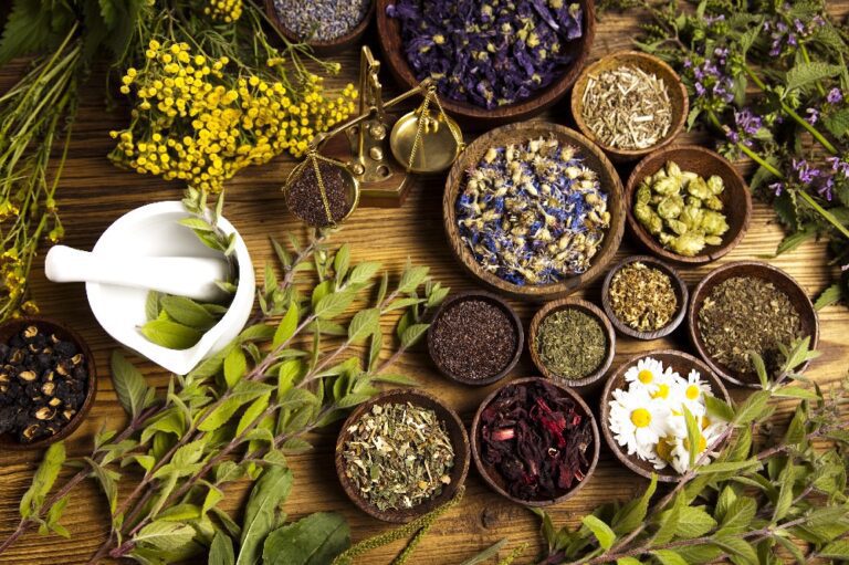 Sri Lanka Wellness Retreats