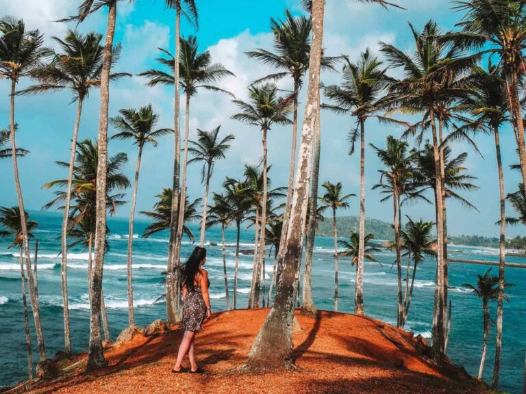COCONUTHILL -mirissa