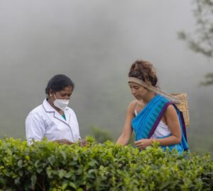 Sri Lanka Holiday Packages 2026: Private Tours, Luxury Travel, Itineraries & Private Guide Options