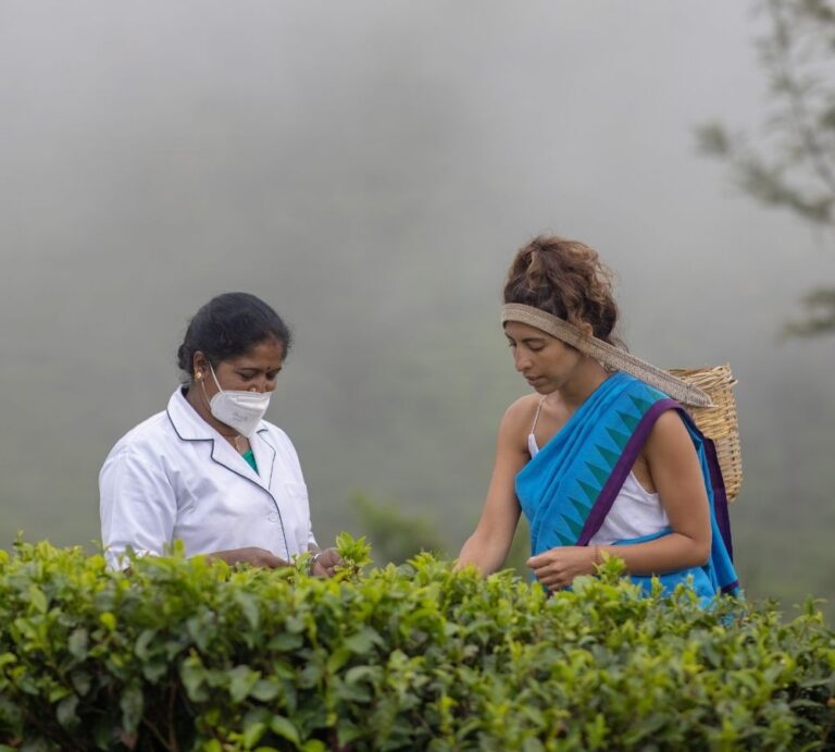 Exploring Sri Lanka’s Tea Plantations: A Journey Through the Hill Country
