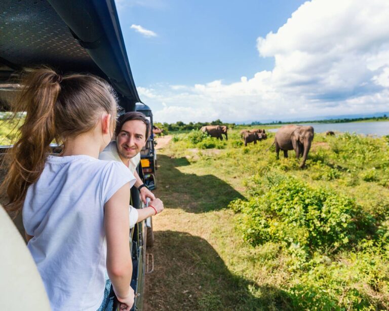 Family-in-Udawalawe-National-Park--Sri-Lanka--On-The-Go-Tours