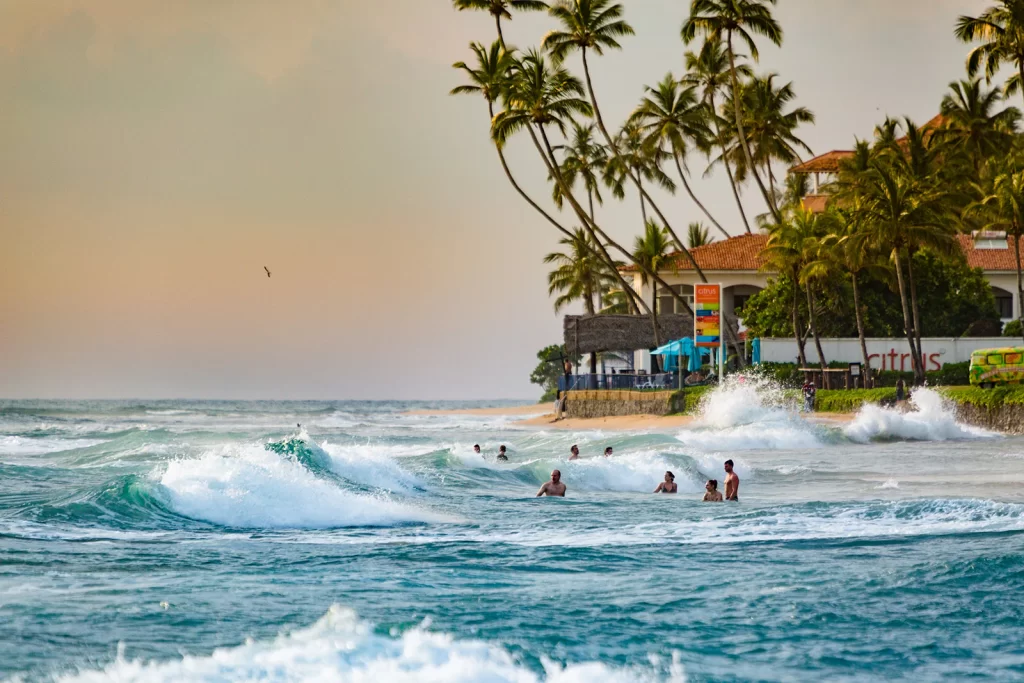 Surfs Up: Discover the Ultimate Surfing Tour with Rediscover Sri Lanka