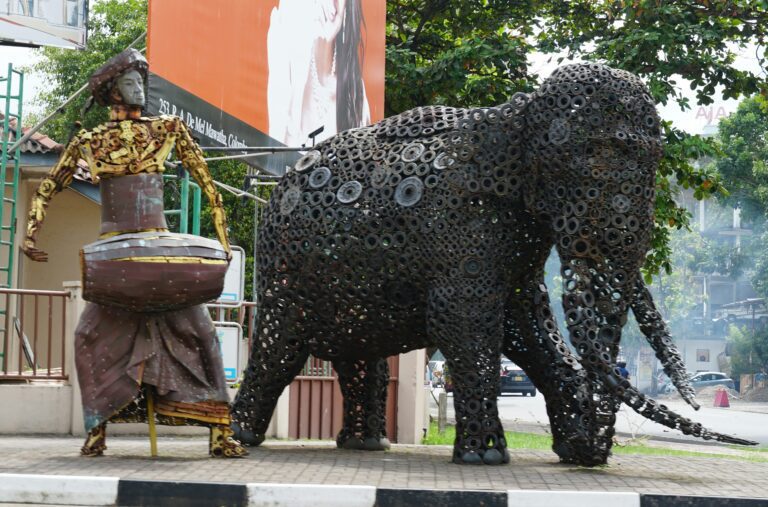 Why Choose Local Sri Lanka Tour Operators for Your Ultimate Island Adventure