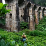 Tour Sri Lanka 2026 | Complete Guide to Tours, Itineraries & Tips