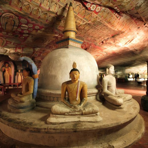 日本人がスリランカ旅行を愛する50の理由